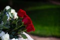 A bouquet of three deep red roses lying on a light surface with a dark green back Royalty Free Stock Photo