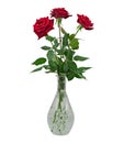 Bouquet of Three Red Roses in A Glass Vase. Isolated On White Background Royalty Free Stock Photo