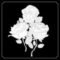 A bouquet of three roses. Black and white drawing. Calligraphy. Tattoo.