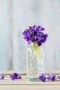 Bouquet of tiny violets viola odorata on wooden table