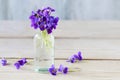 Bouquet of tiny violets viola odorata on wooden table