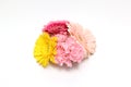 Bouquet of transvaal daisy and carnation isolated on a white background Royalty Free Stock Photo
