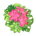 Bouquet with tropical flowers floral arrangement beautiful pink rhododendrons with Schefflera and Monstera vintage vector