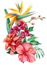 Bouquet tropical flowers on isolated background, watercolor illustration. Strelitzia, hibiscus, orchid, palm leaves