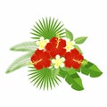 A bouquet of tropical flowers and leaves isolated on a white background. Flowers of hibiscus and plumeria, palm leaf, monstera.