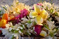 A bouquet of tropical flowers rests above a sandy beach in French Polynesia in the South Pacific