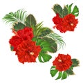 Bouquet with tropical flowers set floral arrangement with beautiful red hibiscus corrugated palm,philodendron and ficus vintage ve Royalty Free Stock Photo