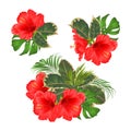 Bouquet with tropical flowers set floral arrangement with beautiful red hibiscus palm,philodendron and ficus vintage vector illus Royalty Free Stock Photo