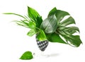 Bouquet of tropical leaves Royalty Free Stock Photo