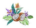 Bouquet of tropical leaves, flowers and halves of coconut. Botanical, watercolor illustration. Hand drawn.
