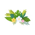 Bouquet of tropical leaves and flowers on a white background.
