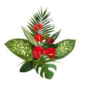 Bouquet of tropical leaves Monstera, Dieffenbachia, branch palm, Ficus benjamina and red flowers Anthurium tailflower, flamingo