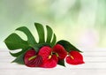 Bouquet of tropical red flowers as heart and leaves Anthurium tailflower, flamingo flower, laceleaf and leaves monstera Royalty Free Stock Photo