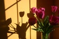 Bouquet of tulip flowers with shadow