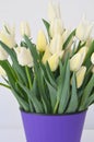 Bouquet with Tulip Snow Lady classic triumph white