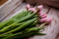 Bouquet of tulip