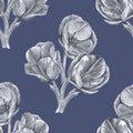 Bouquet of tulips on a blue background Royalty Free Stock Photo