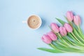 Bouquet of tulips and coffee cup on blue pastel table top view. Beautiful spring breakfast on Mothers or Womans day. Flat lay. Royalty Free Stock Photo