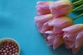 Bouquet of tulips and a cosmetic rouge on a blue background