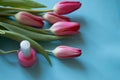 Bouquet of tulips and cosmetic rouge on a blue background.
