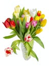 Bouquet of tulips in a crystal vase Royalty Free Stock Photo