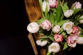 A bouquet of tulips of different colors, white, pink, stands in a glass vase in a dark interior. Royalty Free Stock Photo