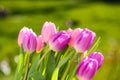 A bouquet of tulips on a garden table