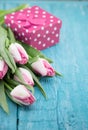 Bouquet of Tulips and gift box on turquoise rustic wooden background with copy space for message. Spring flowers. Greeting card f Royalty Free Stock Photo