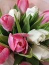 a bouquet of tulips is a great start