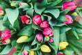 Bouquet of tulips in an iron bucket. Natural flowers. Royalty Free Stock Photo