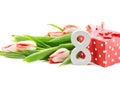 Bouquet of tulips isolated on white background with a red doted