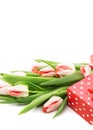 Bouquet of tulips isolated on white background with a red doted