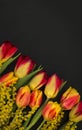 Bouquet of tulips and Mimosa Royalty Free Stock Photo