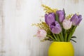 Bouquet of tulips and mimosa in a yellow vase on a wooden background. Royalty Free Stock Photo