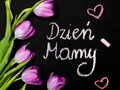 Bouquet of tulips and Polish sentence MOTHER`S DAY written in chalk on a chalkboard Royalty Free Stock Photo