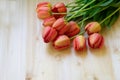 Bouquet of tulips at right corner on white wooden background. Top view, frame, border, copy space. Greeting card for womans day, M Royalty Free Stock Photo