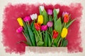 Bouquet of tulips watercolor digital illustration on red background Viva Magenta. Spring floral postcard. Tulip spring Royalty Free Stock Photo