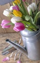 Bouquet of tulips in watering can Royalty Free Stock Photo