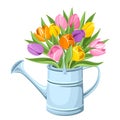 Bouquet of tulips in watering can. Vector illustration. Royalty Free Stock Photo