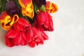 Bouquet of tulips on a white background