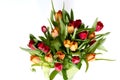 Bouquet of tulips on white - horizontal Royalty Free Stock Photo