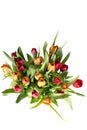 Bouquet of tulips on white - vertical Royalty Free Stock Photo