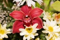 Bouquet with various beautiful flowers