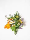 Bouquet of various fresh medicinal herbs on white background. Top view. Copy space