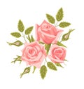 Bouquet of vintage English roses. Delicate pink flower buds with leaves, realistic style. For Valentines Day, weddings