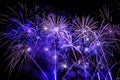 Bouquet of violet fireworks display Royalty Free Stock Photo