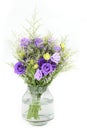 bouquet of violet roses on glass flower vase on white isolated background Royalty Free Stock Photo