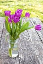 Bouquet of violet tulips on the oak brown table in a clear glass jar Royalty Free Stock Photo