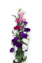 Bouquet of violet, white, pink flowers Eustoma  Texas bluebells, bluebell, lisianthus, prairie gentian  on a white background. Royalty Free Stock Photo