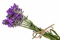 Bouquet of violet wild lavender flowers, tied with bow, isolated Royalty Free Stock Photo